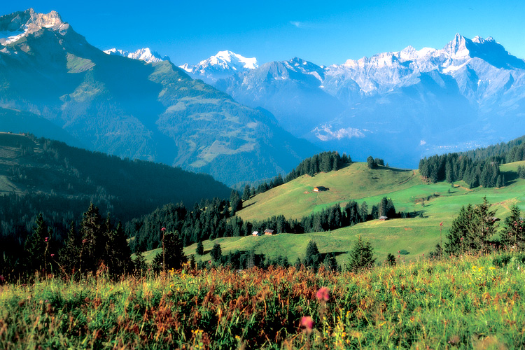 sveitsin-alpit-750×500-001