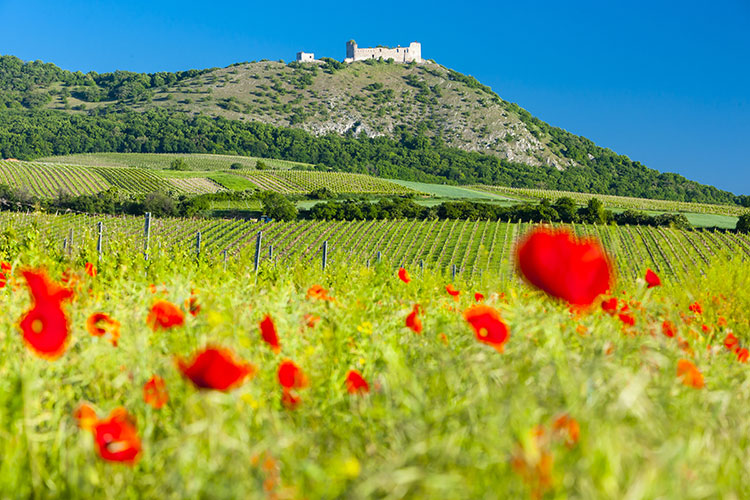 hrad-devin-slovakia-001
