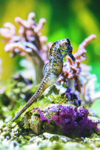 aquaria-vattenmuseum-002