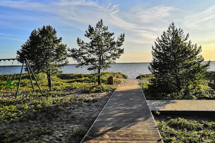 laulasmaa673