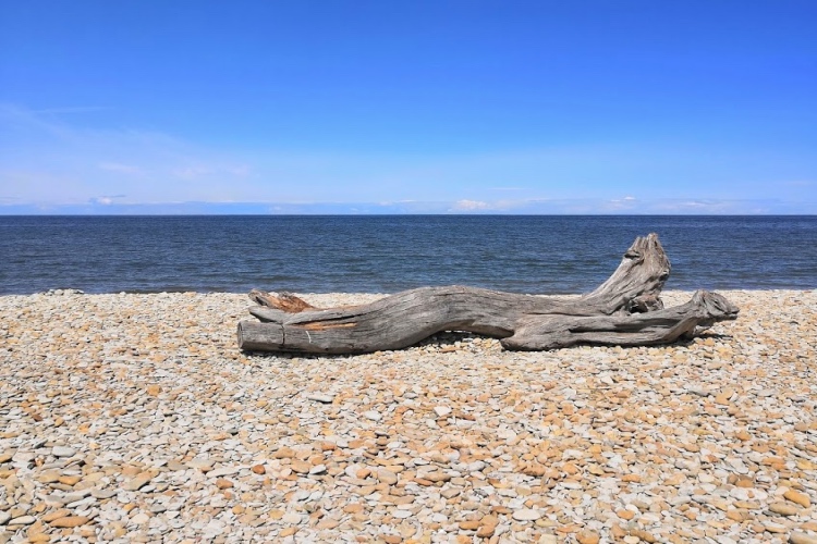 Toila Ikaalisten Matkatoimisto