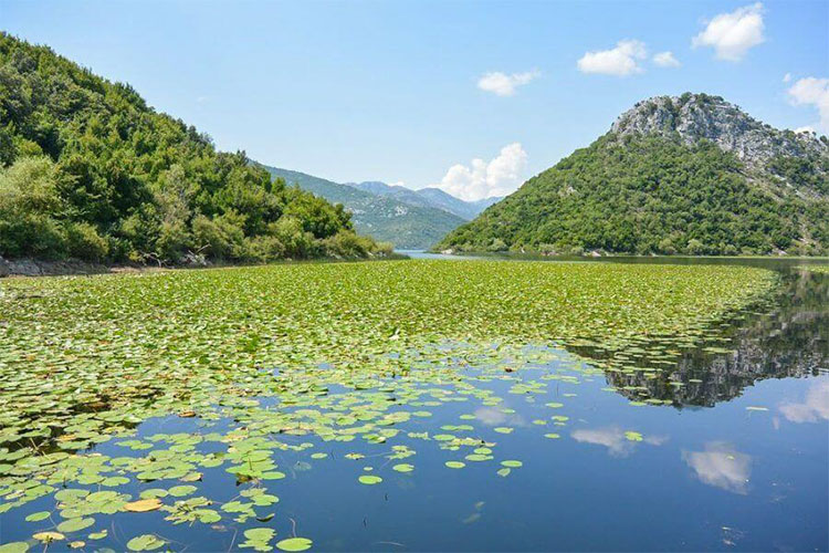 skadar-skutarijarvi-montenegro-004
