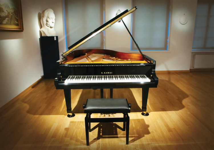 Sala-koncertowa-The-best-of-Chopin-live-concerts.-2