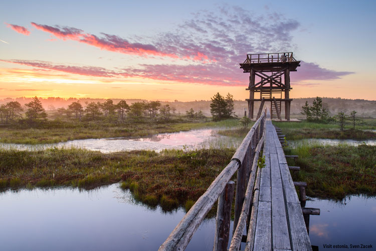 mannikjarve_raba_visitestonia_sven_zacek