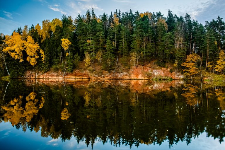 Gaujan kansallispuisto Metsä heijastuu järvelle Gaujan kansallispuistossa