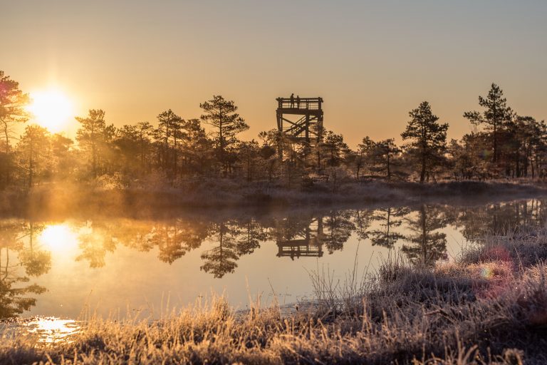 Kemerin kansallispuisto Auringonlasku Kemerin kansallispuistossa Latviassa