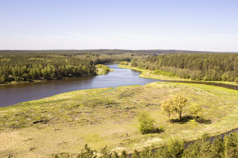 Liettua, Dzukijan-kansallispuisto Dzukijan-kansallispuisto