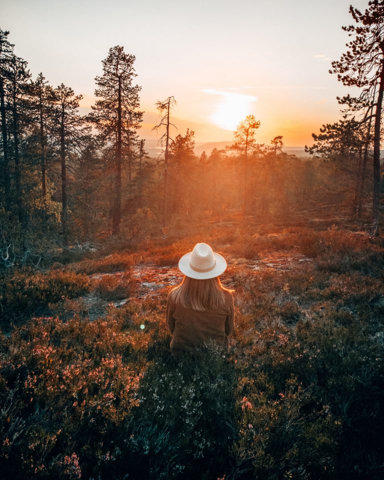 Rovaniemi, Lappi, Suomi