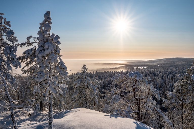 Vuokatti Näkymä lumisen vaaran päältä kirkkaana aurinkoisena päivänä.