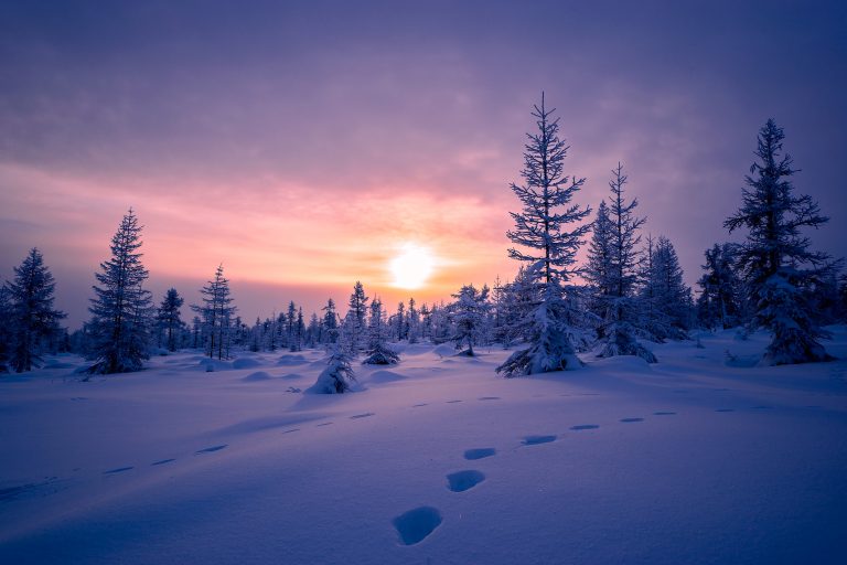 Ivalo, Lappi