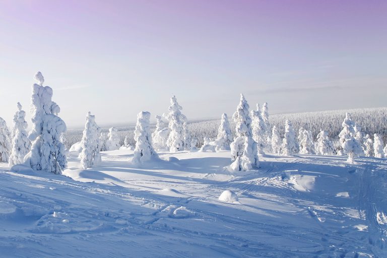 Lappi, talvi