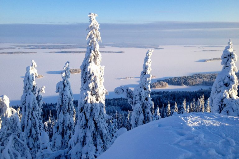 Koli, talvi